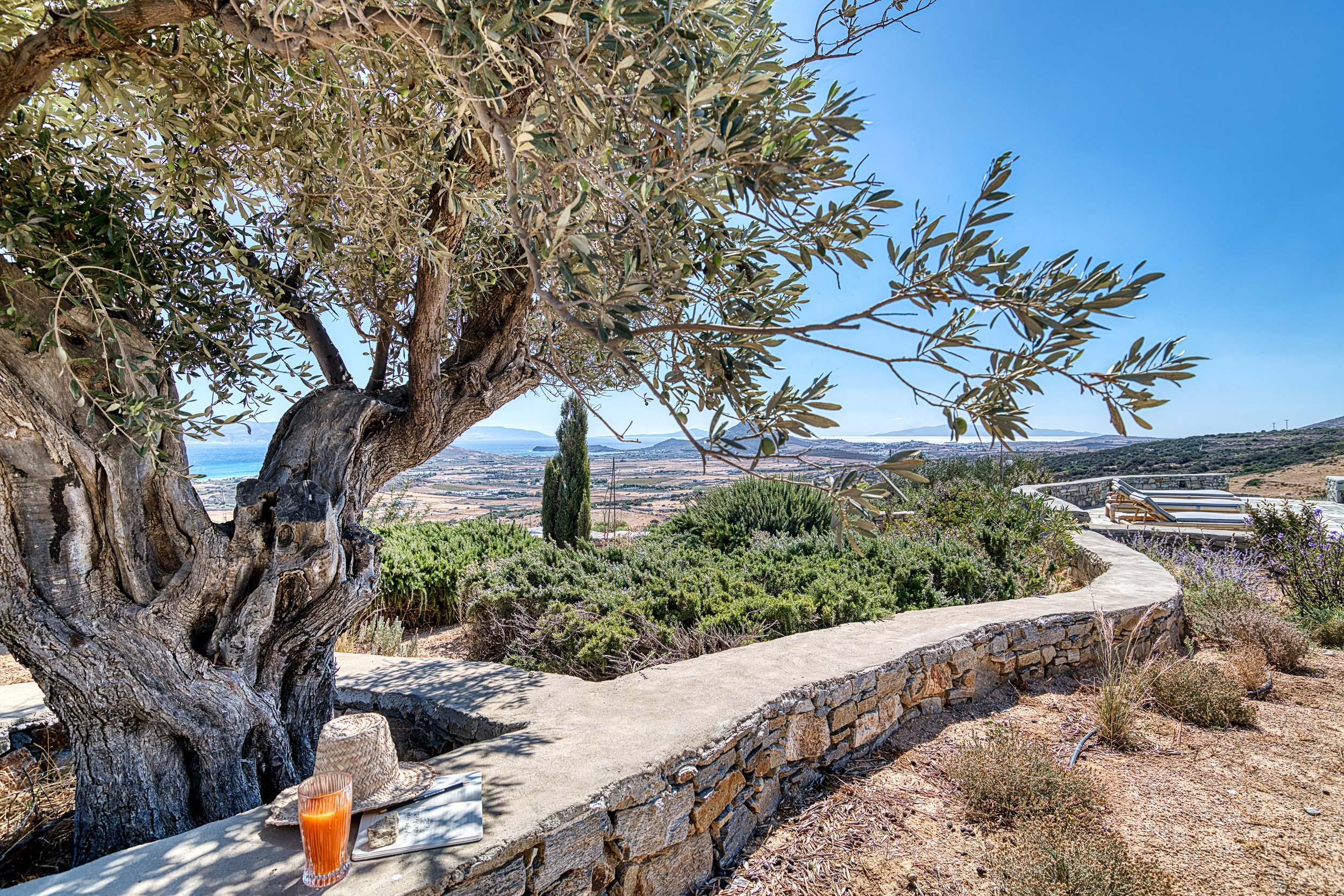 07-garden-olive-tree-sea-view-kostos-paros-01.jpg