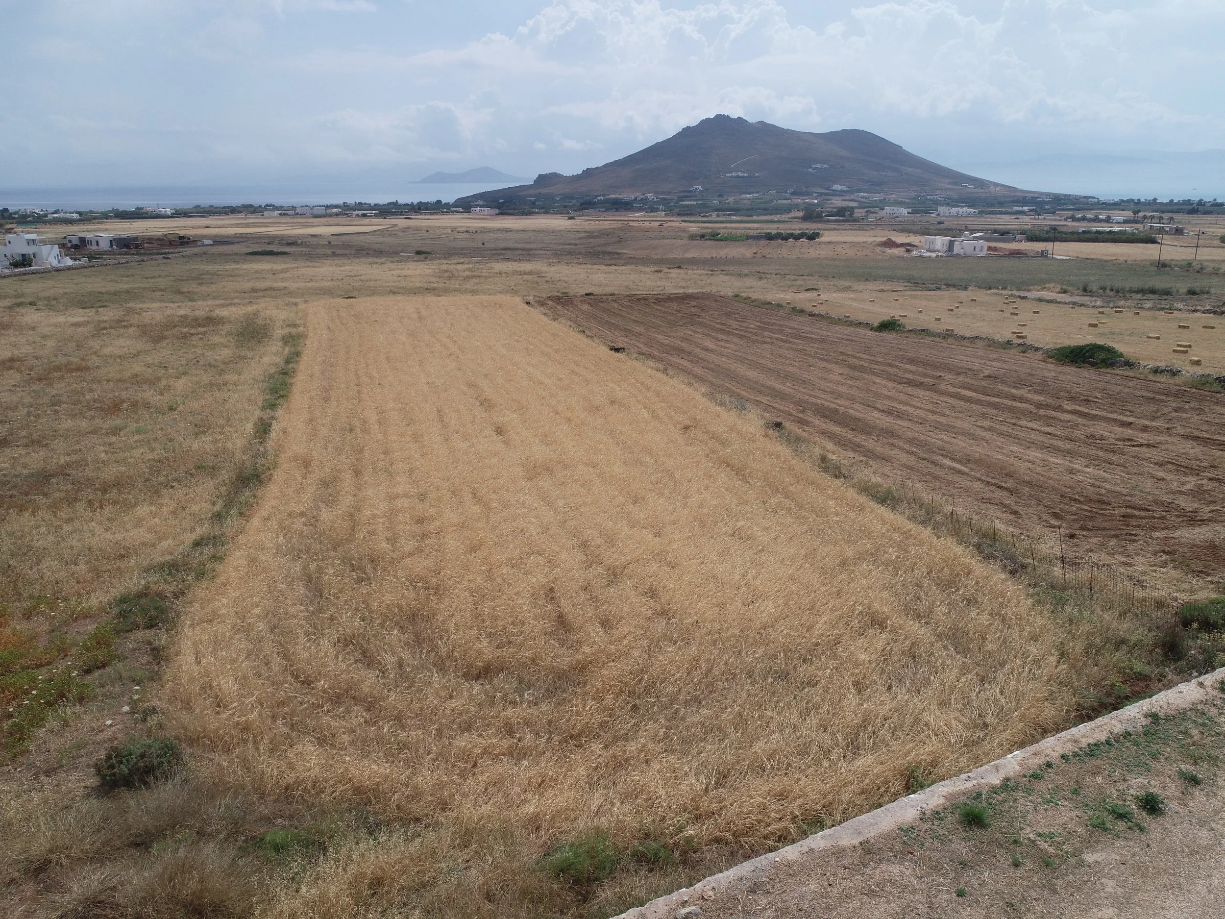 DJI_0008.JPG