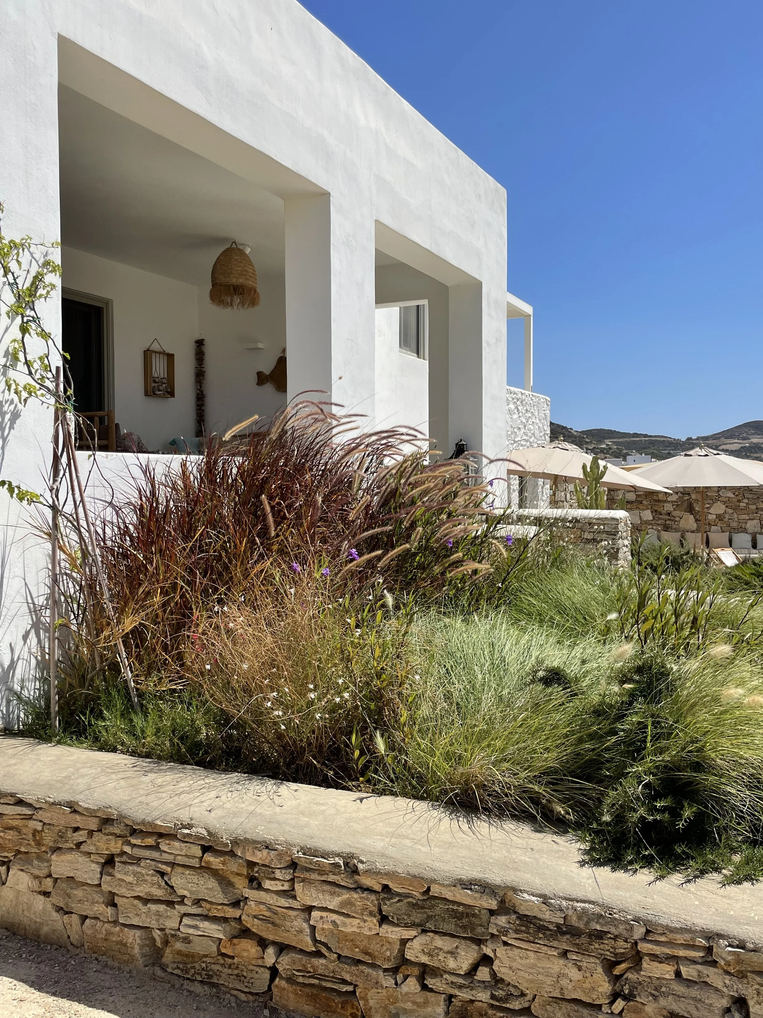garden-planting-loggia-antiparos-01.jpeg