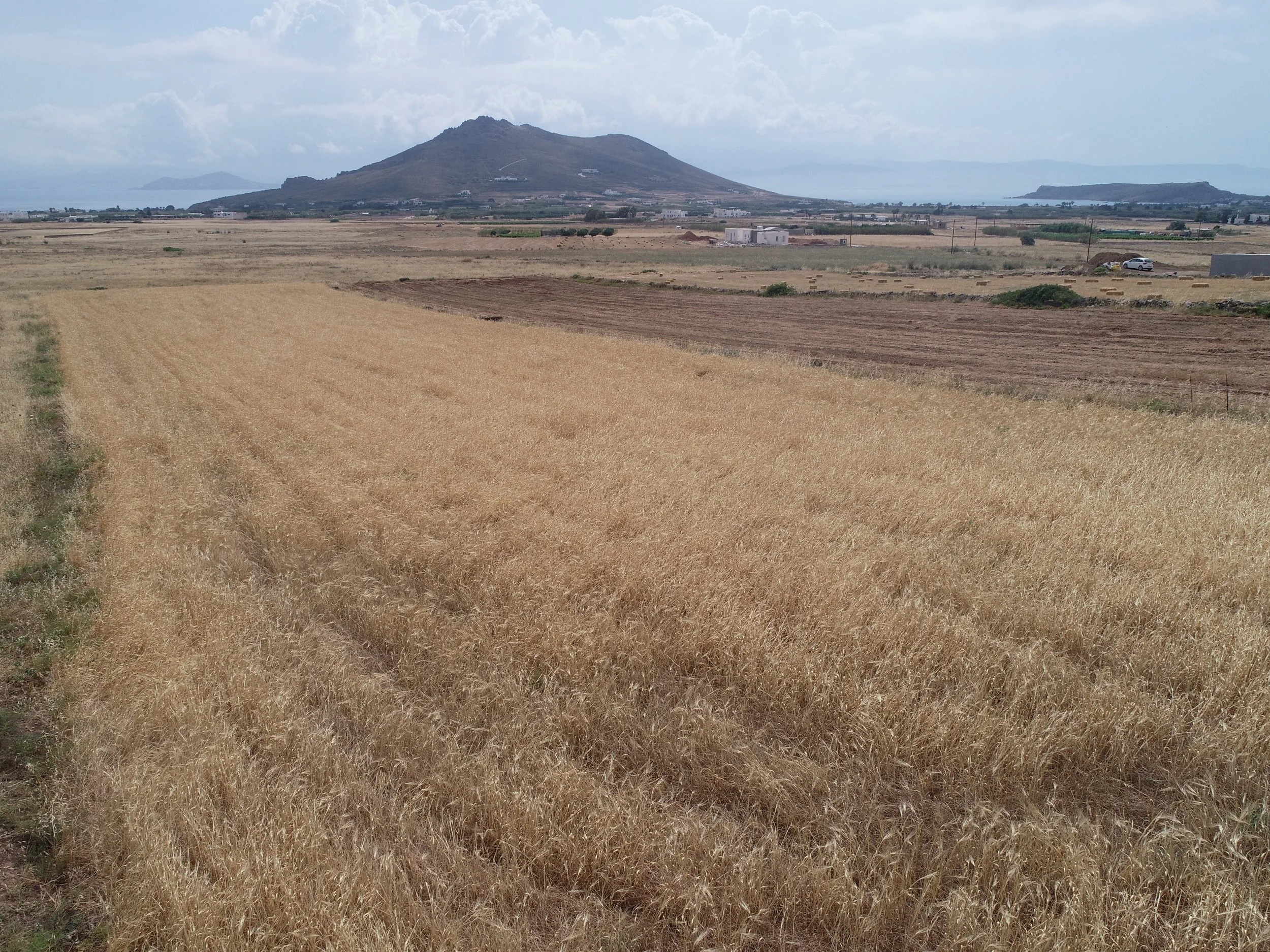 DJI_0010.JPG