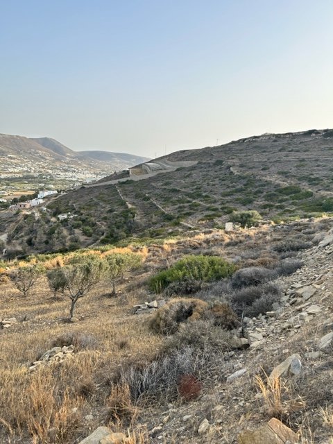 IMG_4960.jpg