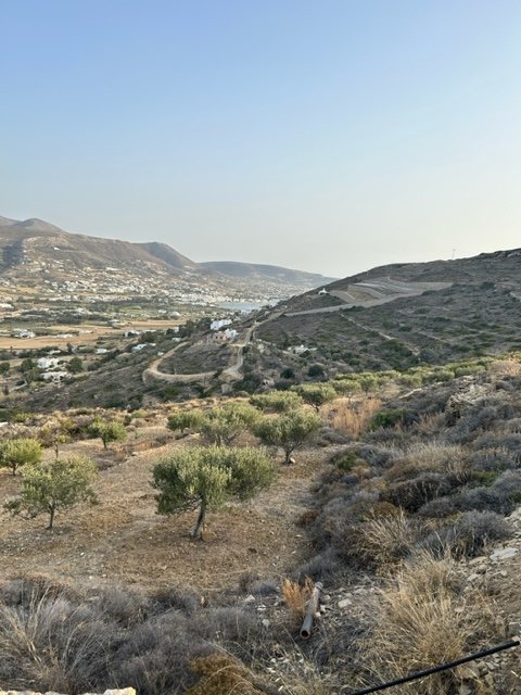 IMG_4958.jpg
