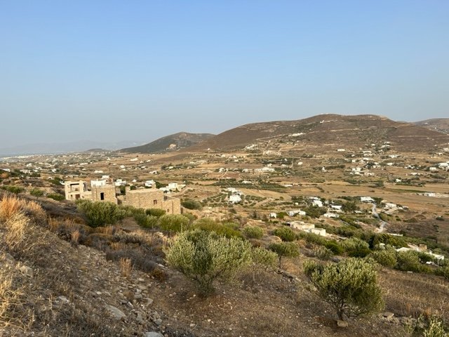IMG_4964.jpg