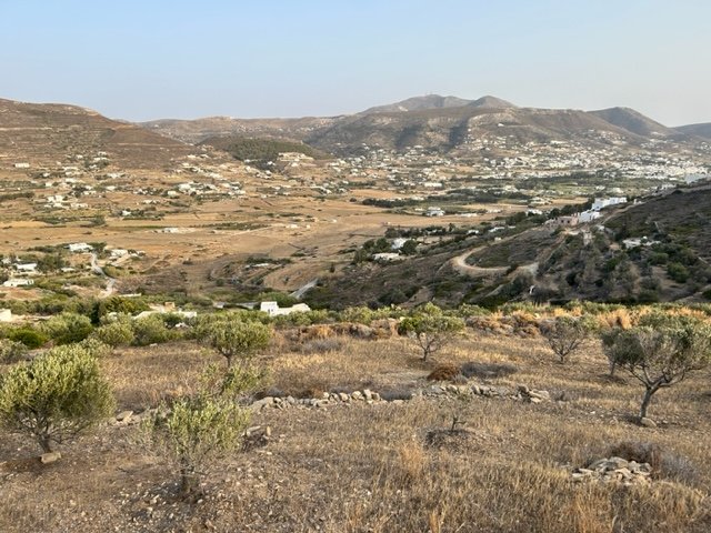 IMG_4962.jpg