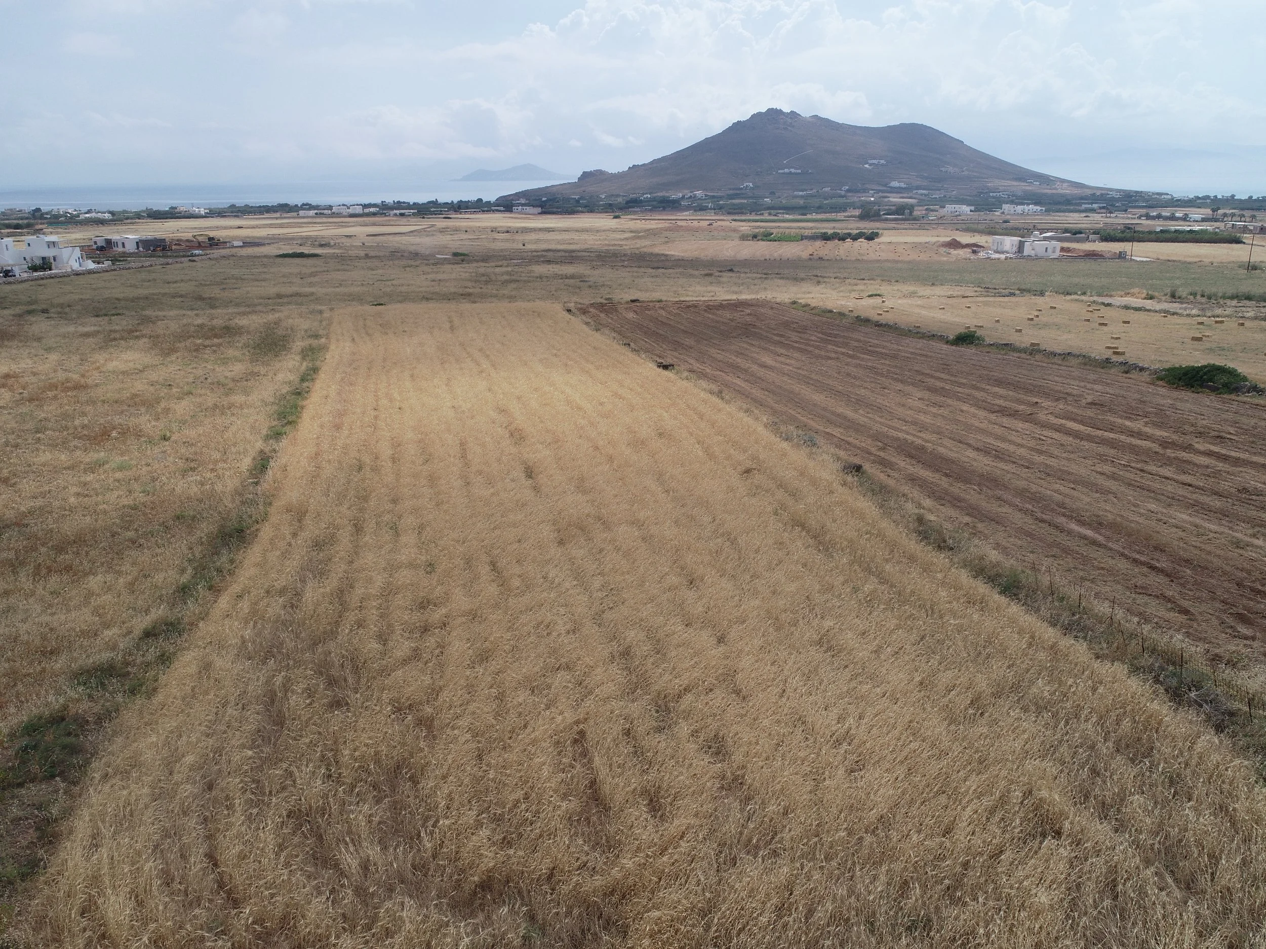 DJI_0006.JPG