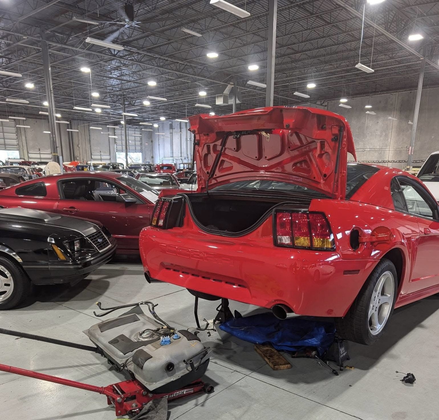 An indoor car storage or restoration facility with several classic and sports cars, including a red Ford Mustang with its rear hatch open, a black car with a partially disassembled front, and a maroon car. There are tools and car parts on the floor.