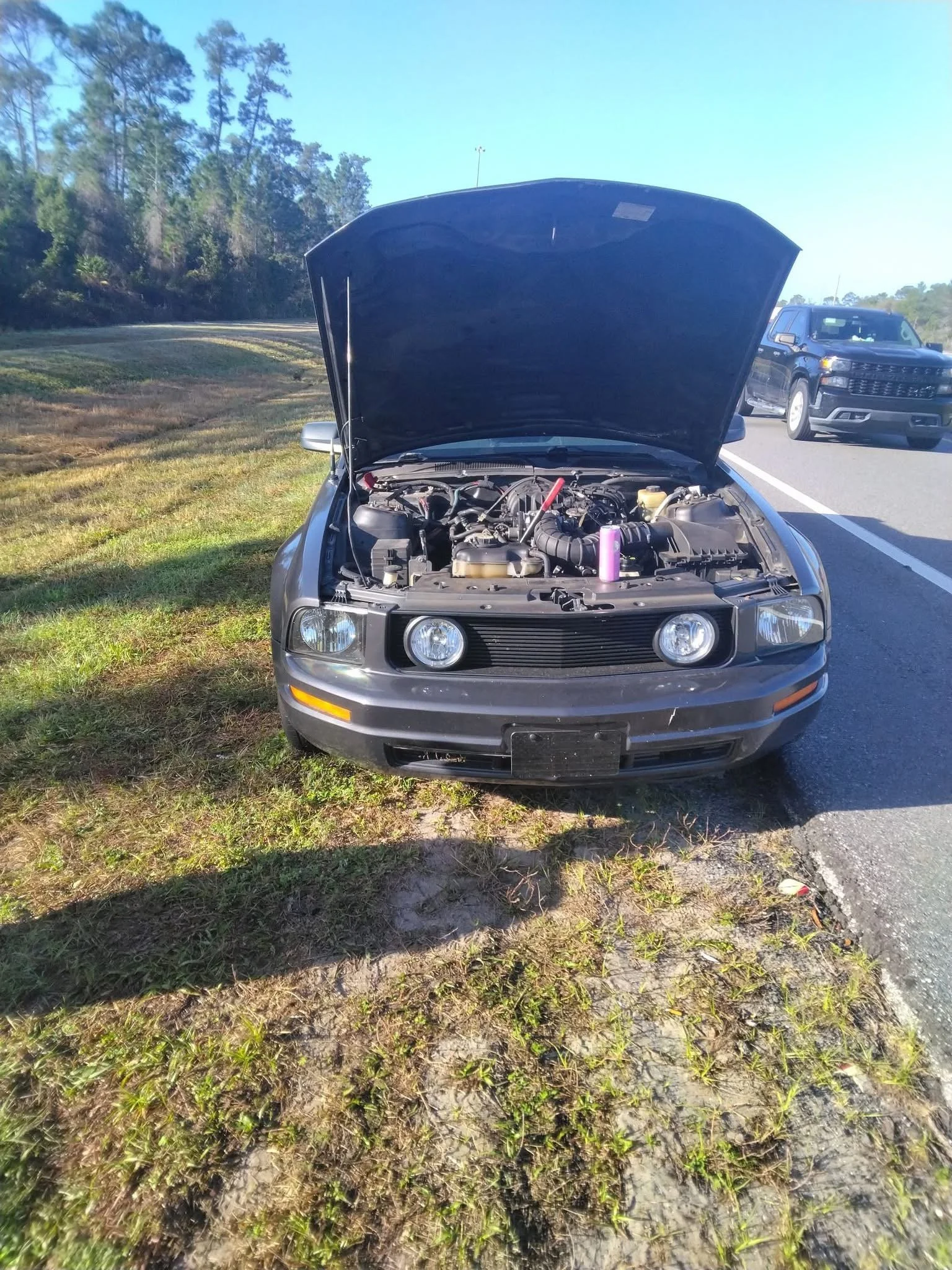 A black car with its hood open parked on the side of a road with grass and trees in the background.