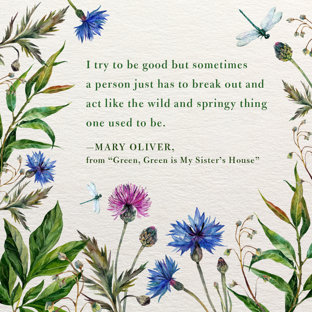 MaryOliver-18_v3.png