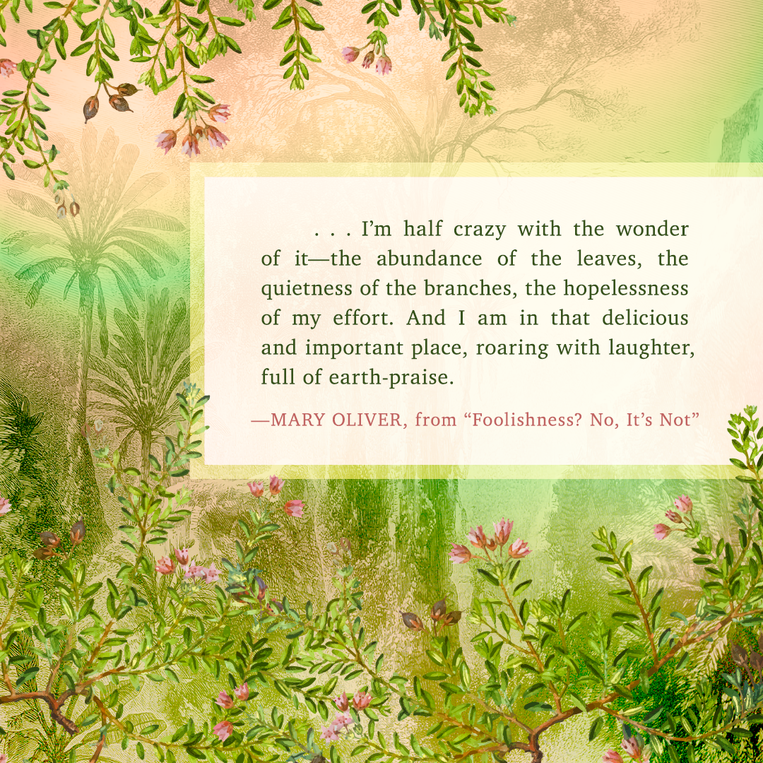 MaryOliver-12_v2.png