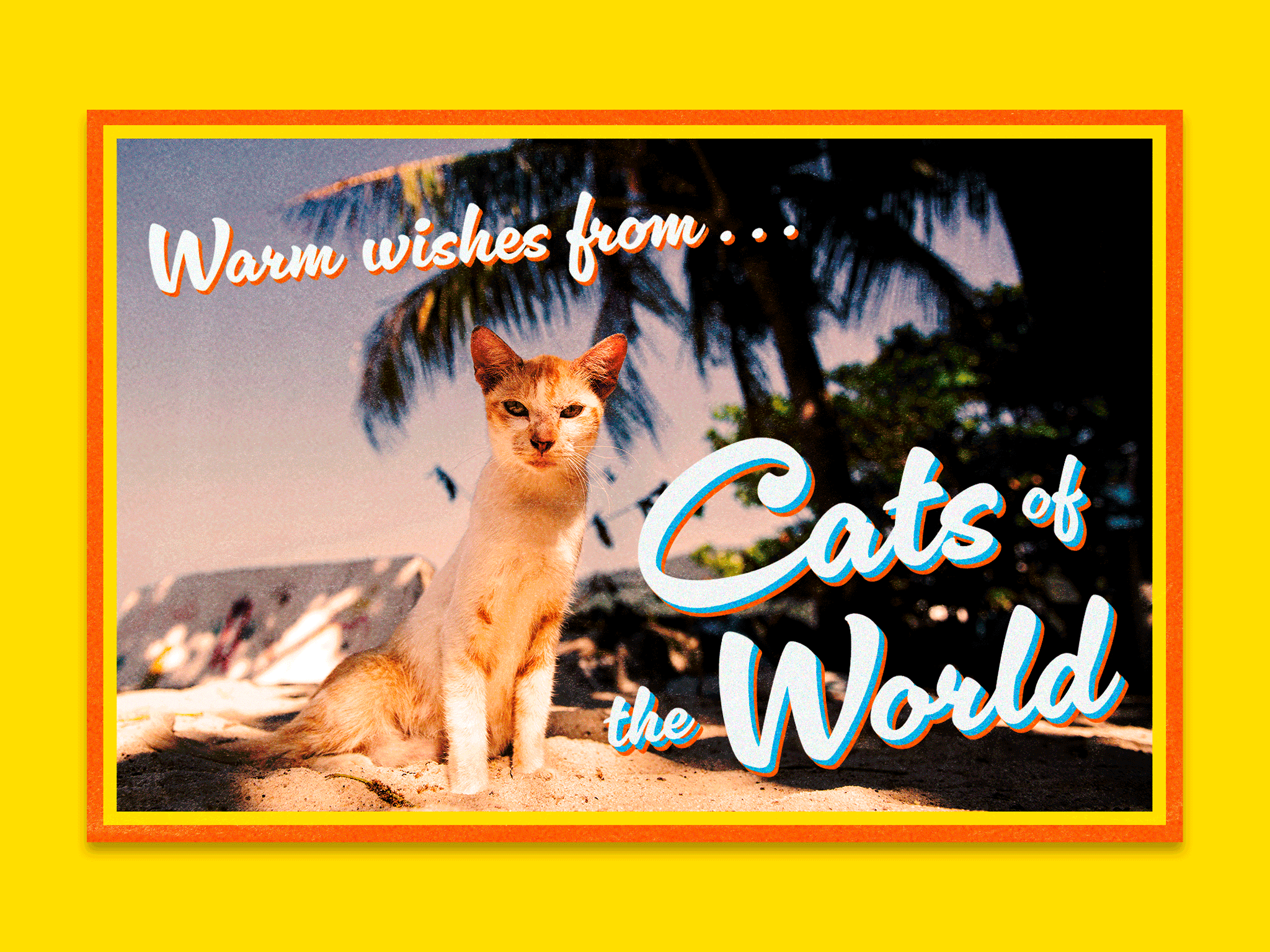 cats-promo-gif.gif