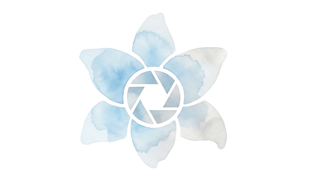 Lily Mae Media
