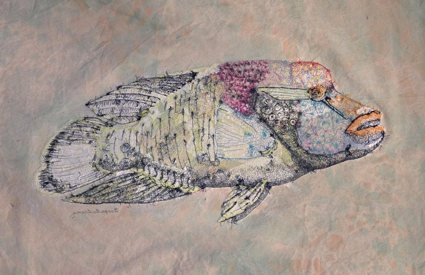 wrasse5.jpg