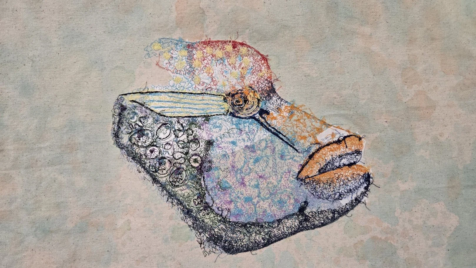wrasse4.jpg