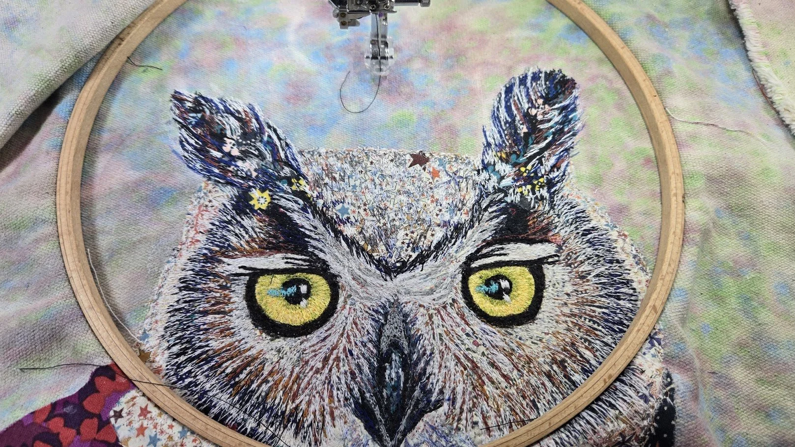 owl6.jpg