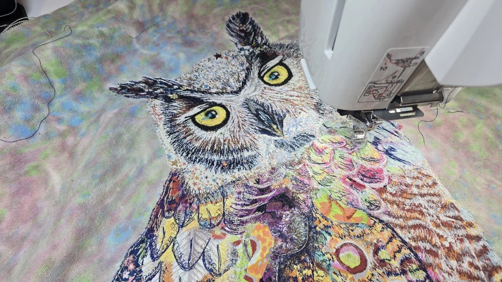 owl5.jpg