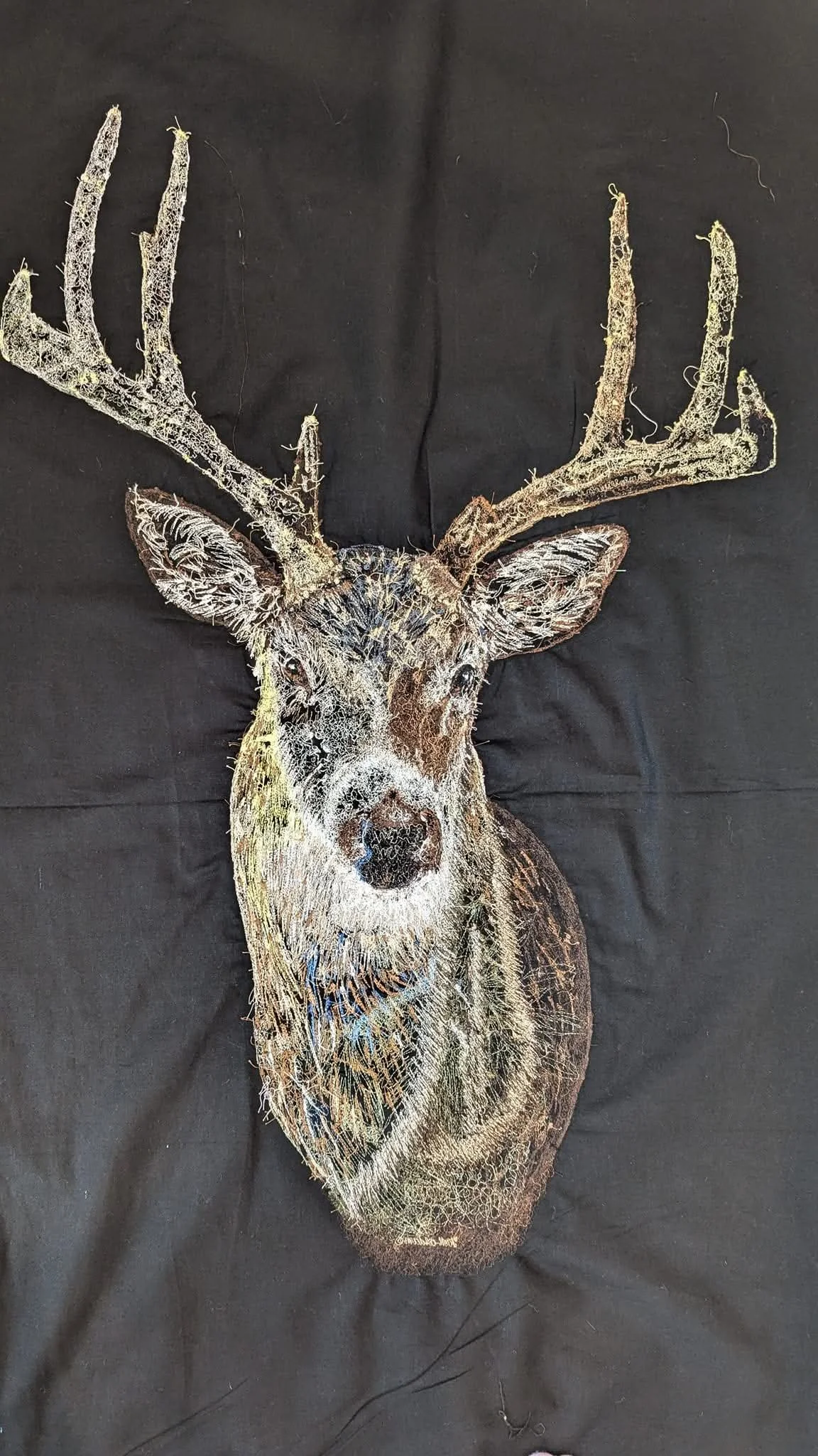buck2.jpg