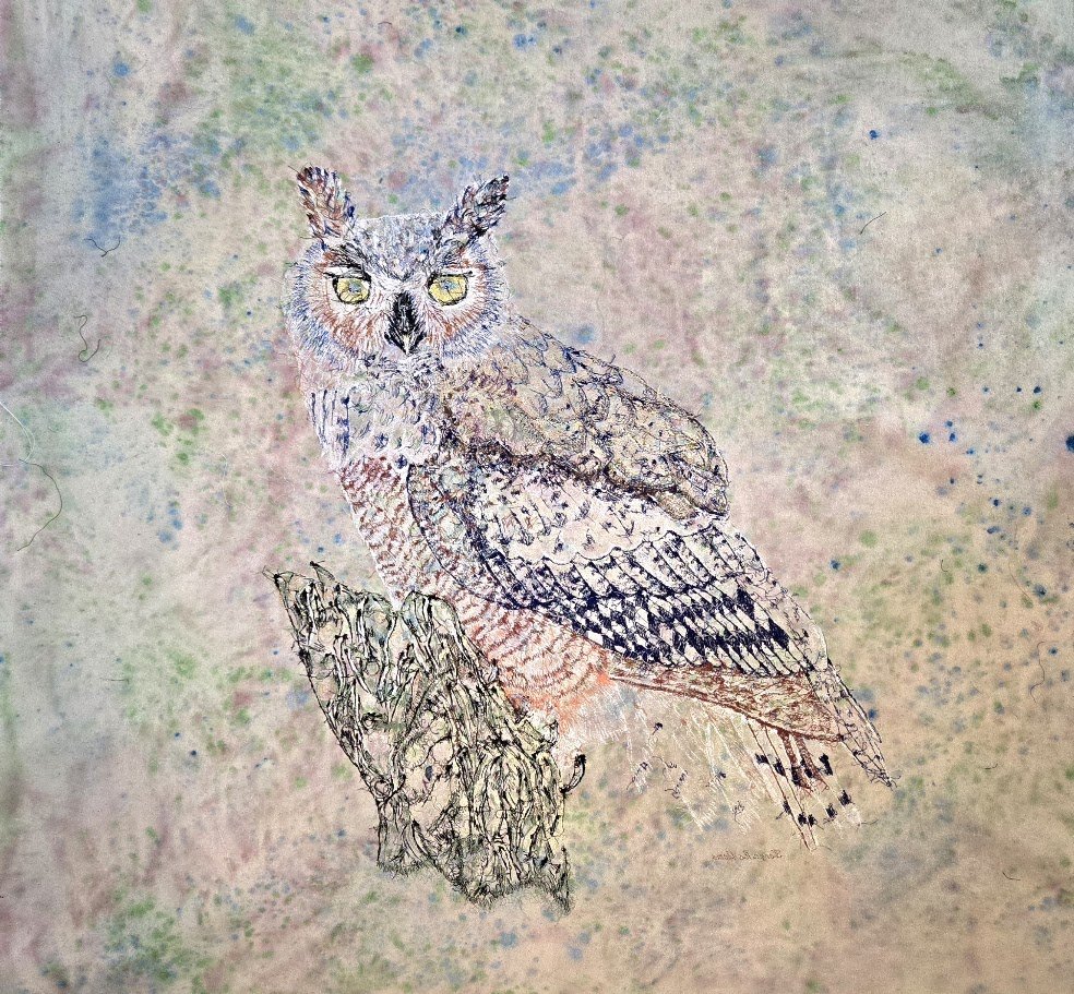 Owl_back 2025.jpg