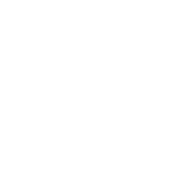Logo of Precision Aviation Care Atlanta's number one aircraft cleaning service