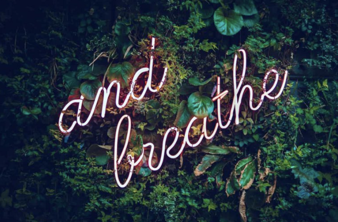Friday Breathwork & Energy Flow | June 19 | 7-8:30pm