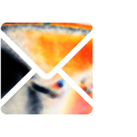 Email Marketing Services