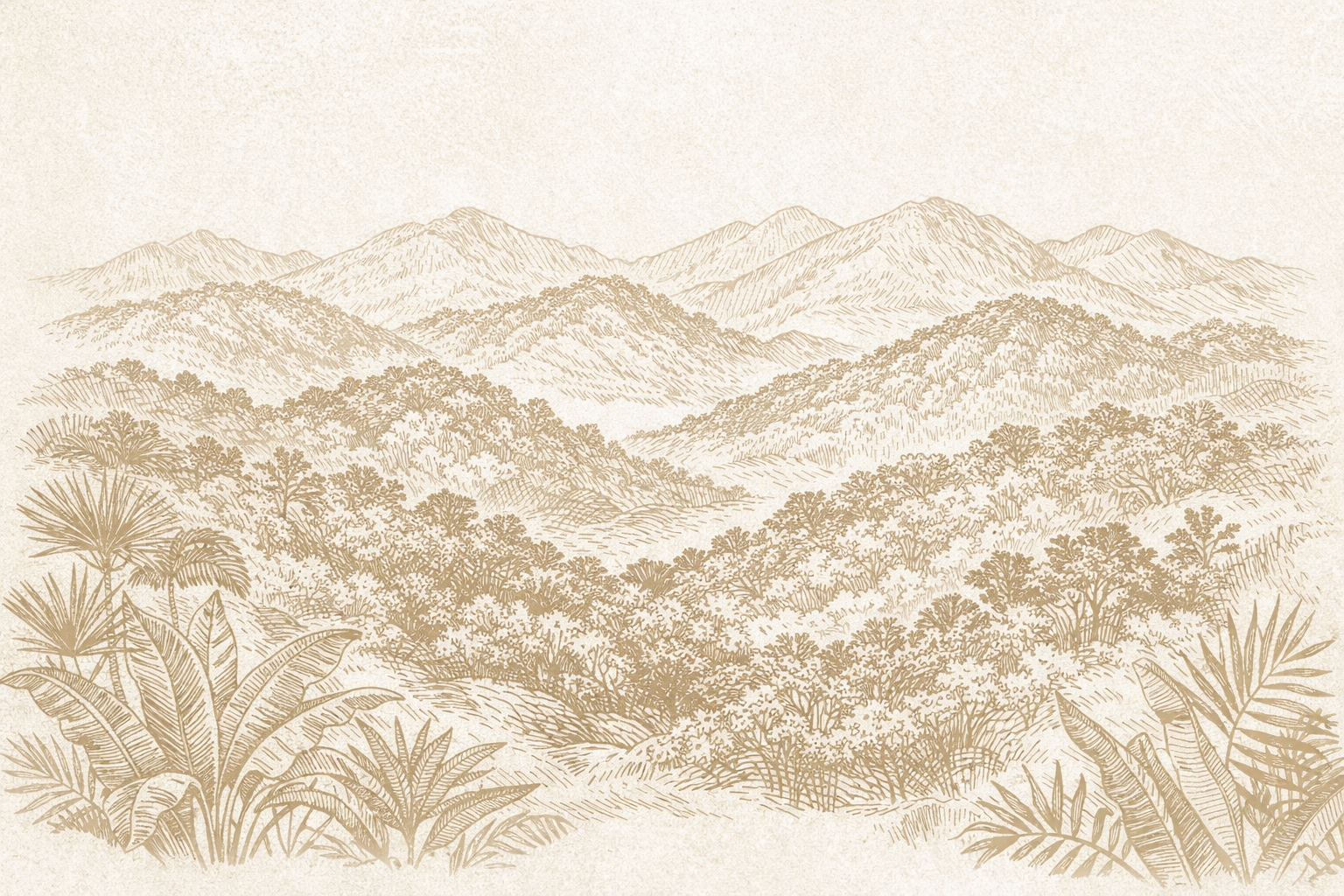 A monochrome illustration of a mountain landscape with rolling hills, dense trees, and distant mountains in Haiti