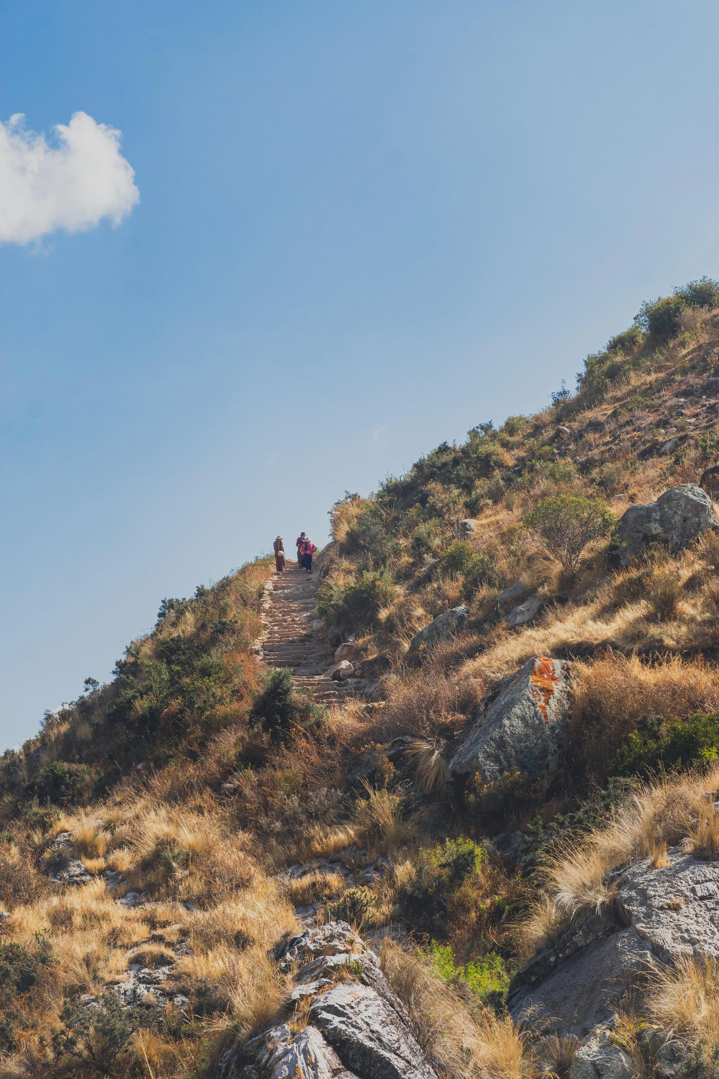 Hiking trail on a hillside with three people walking up. Dry grass and rocks are on the hill, under a clear blue sky with a few clouds.