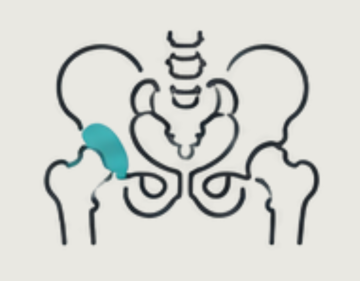 Hip and Pelvic pain icon