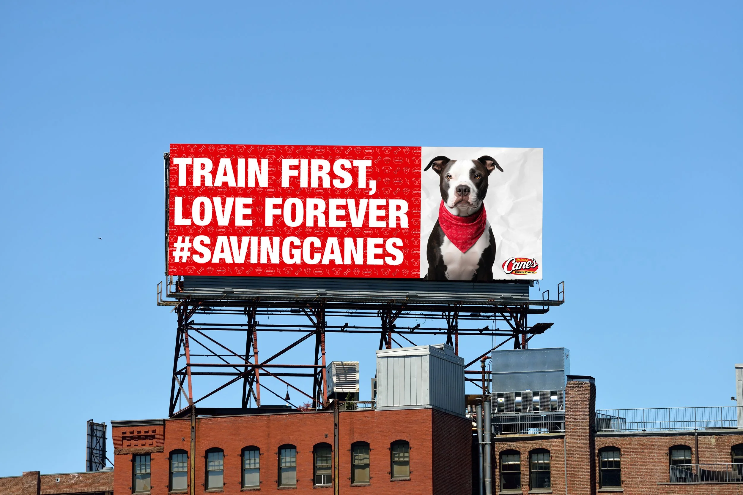 saving canes