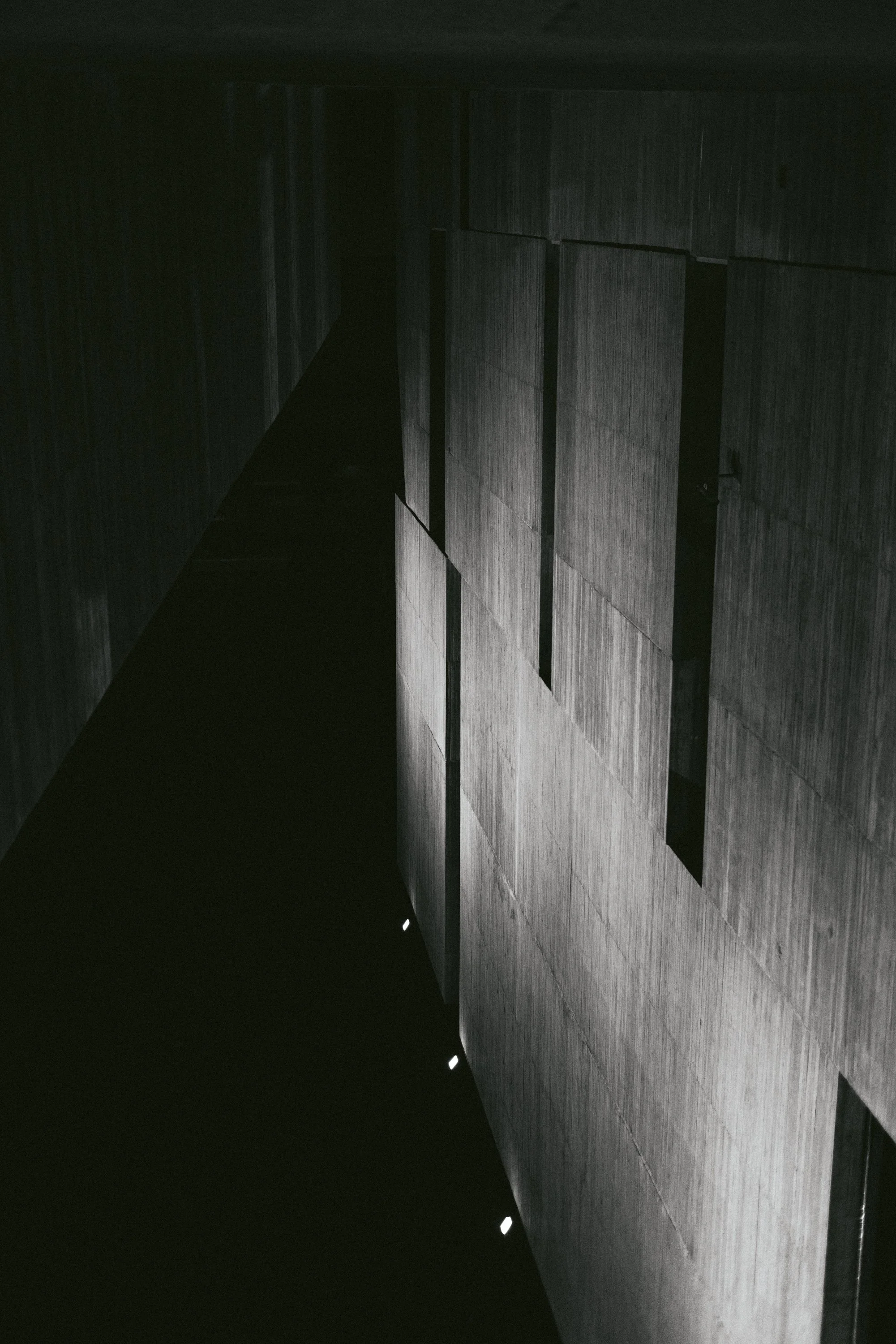 _Z7A0091.jpg