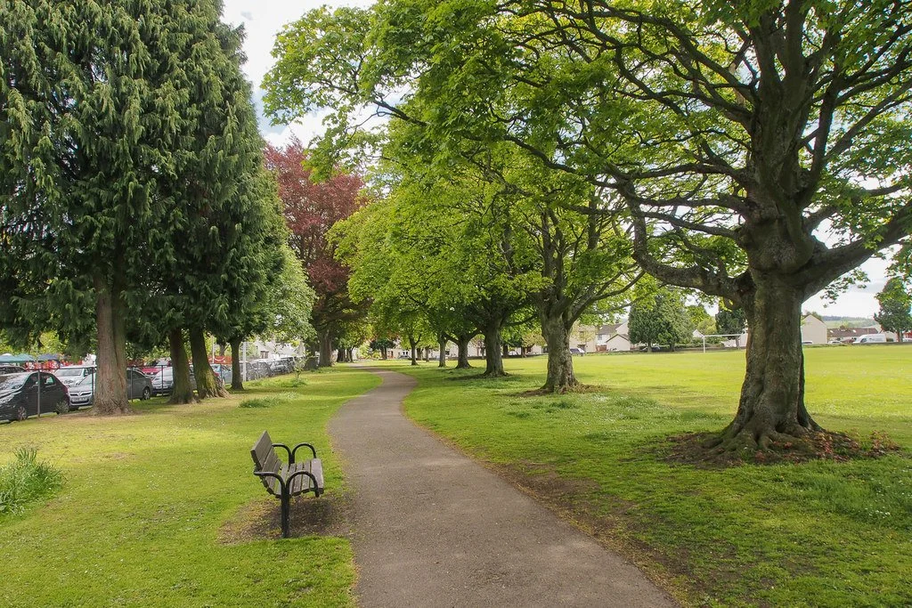 Scone Park