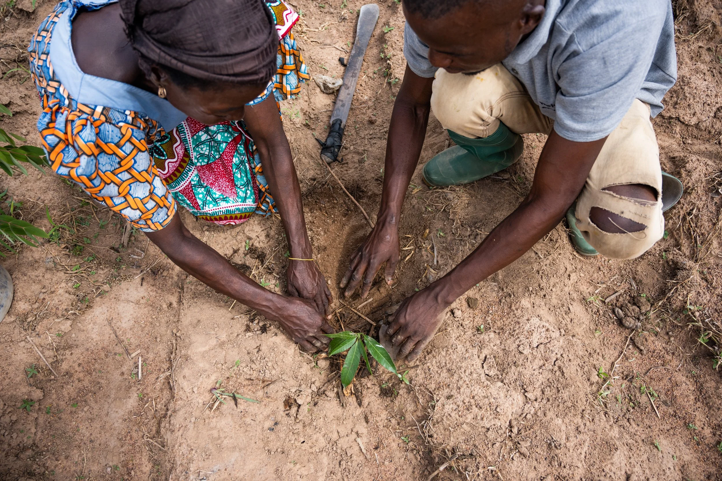 Credit: CIFOR-ICRAF