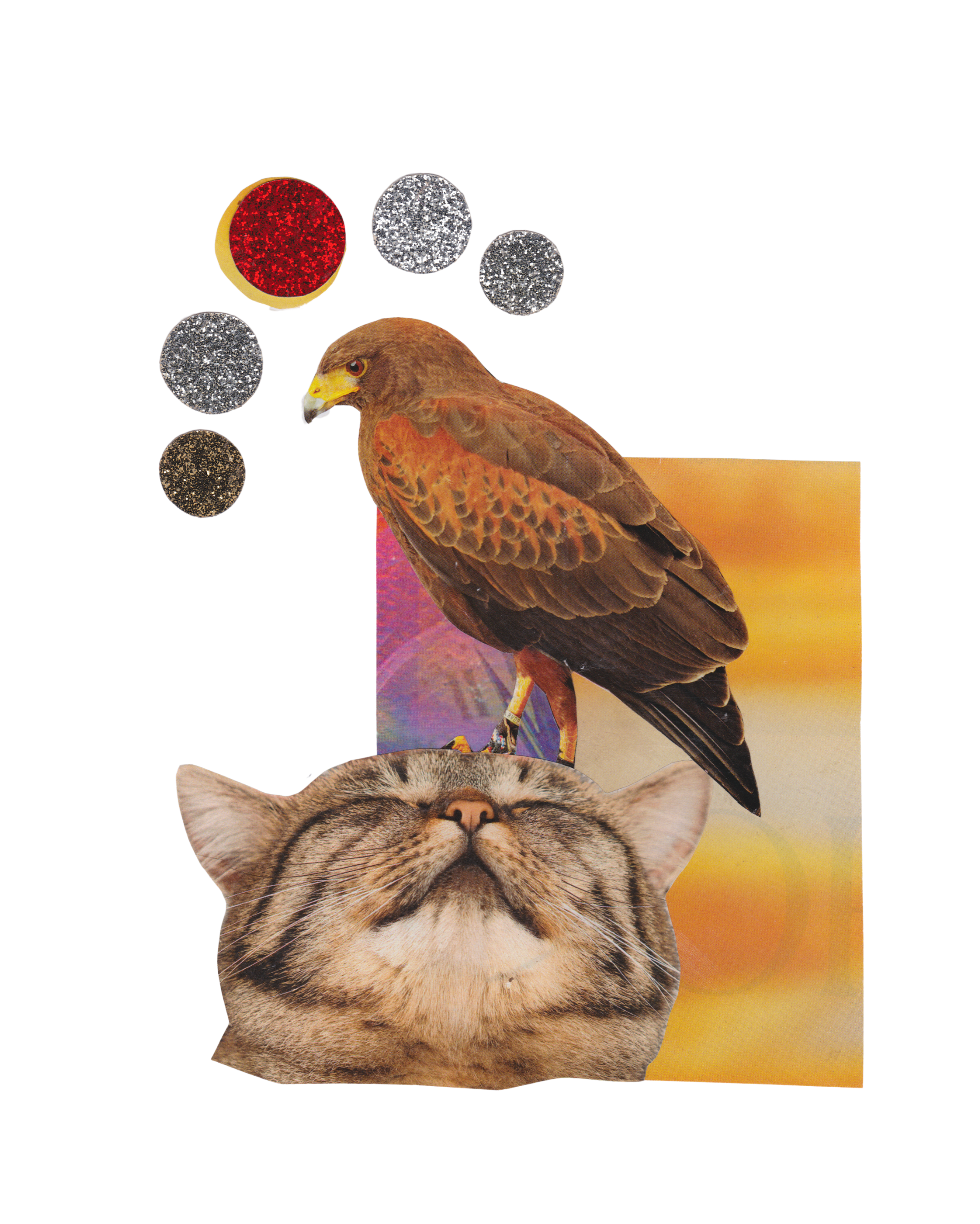 13.png