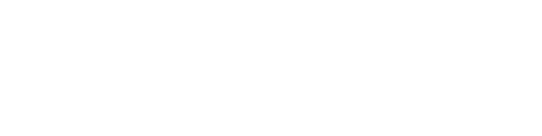 The Village Bank logo
