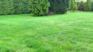 Monthly Clean-Up