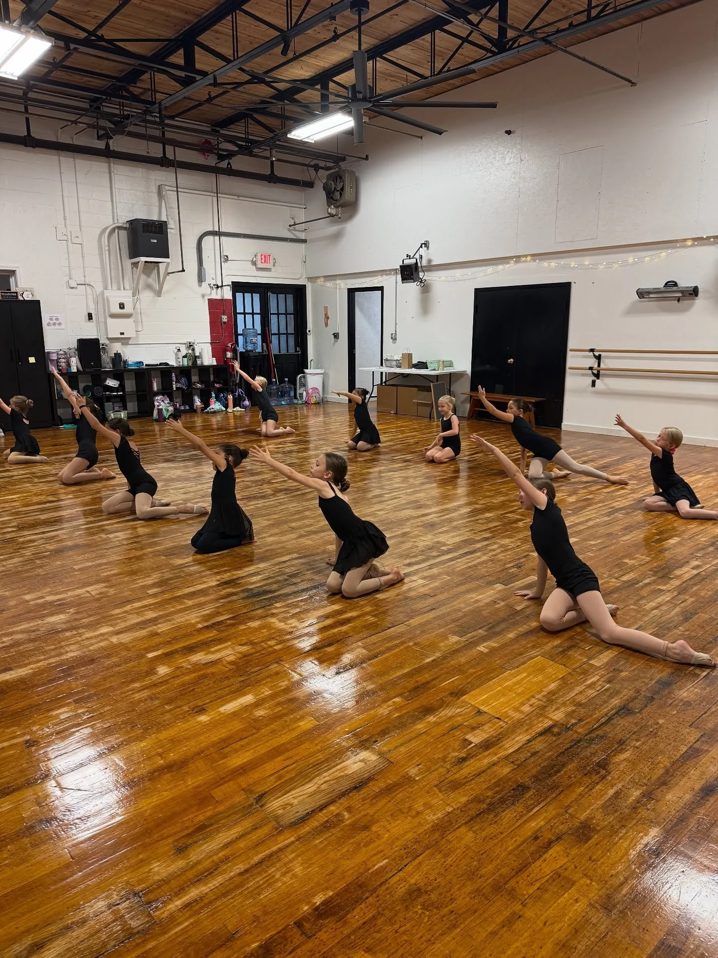 Young ballet dancers dressed in black leotards practicing ballet in a dance studio with wooden floors, barre, and wall decorations.
