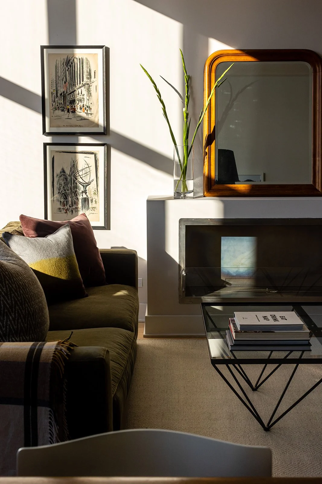 living space with fire place with modern details and direct sunlight for interesting shadows.