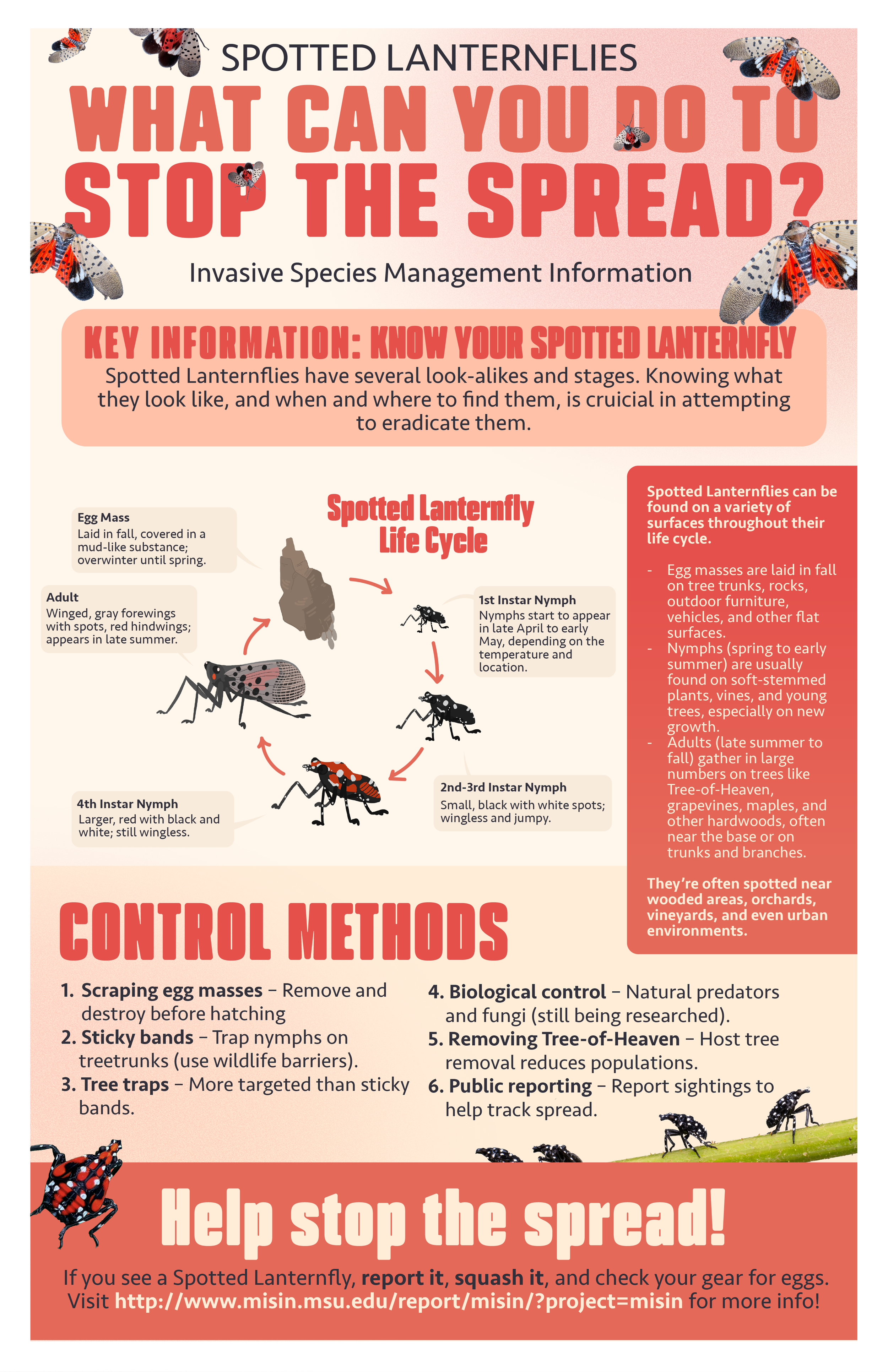 Lanternfly Flyer2.png