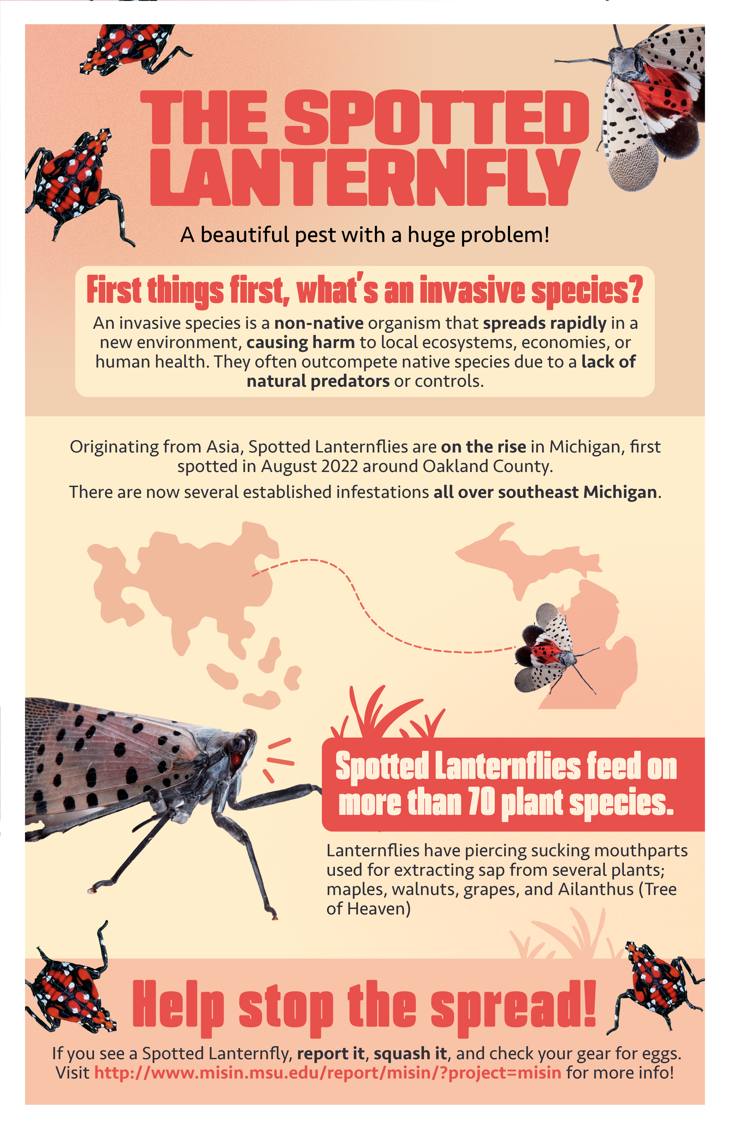 Lanternfly Flyer 1.png