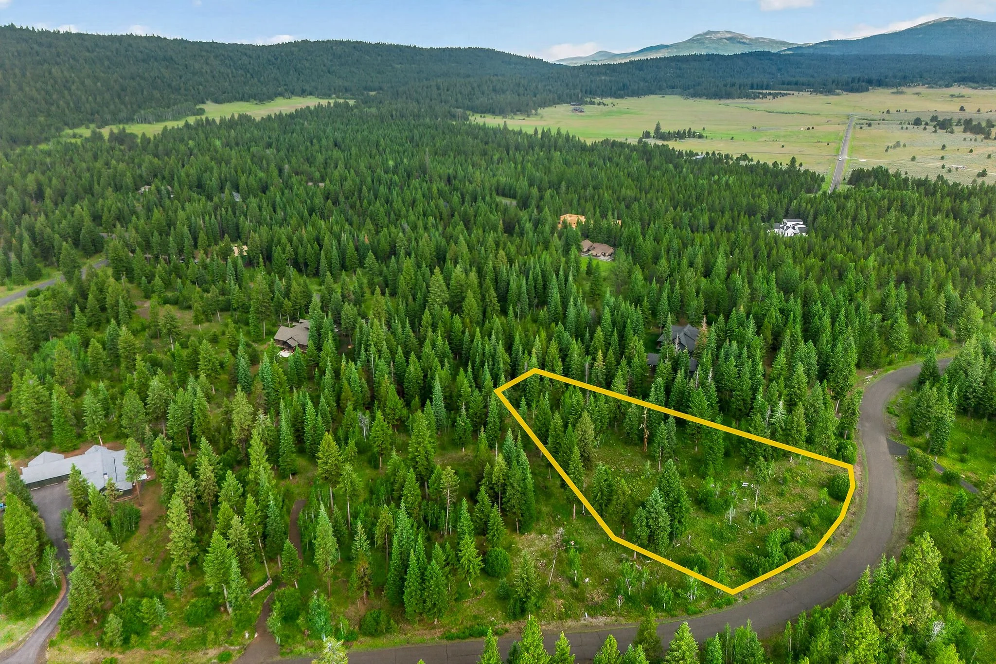 Aerial view of a forested area with trees and a few houses visible among the trees. There is a yellow outline around a section of the forest, a winding road nearby, and mountains in the background.