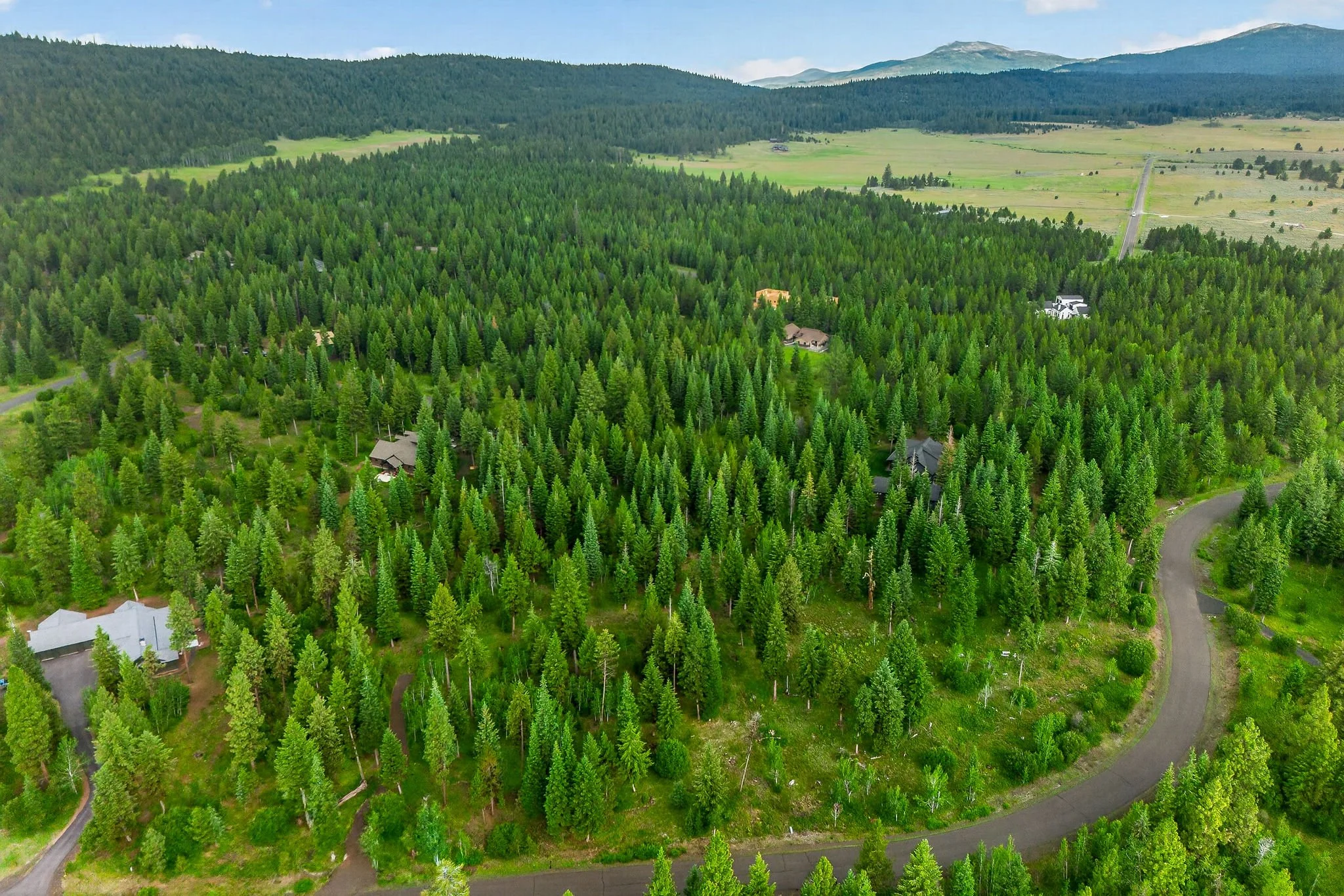 Aerial view of a lush green forest with scattered houses, winding roads, and distant mountains under a partly cloudy sky.