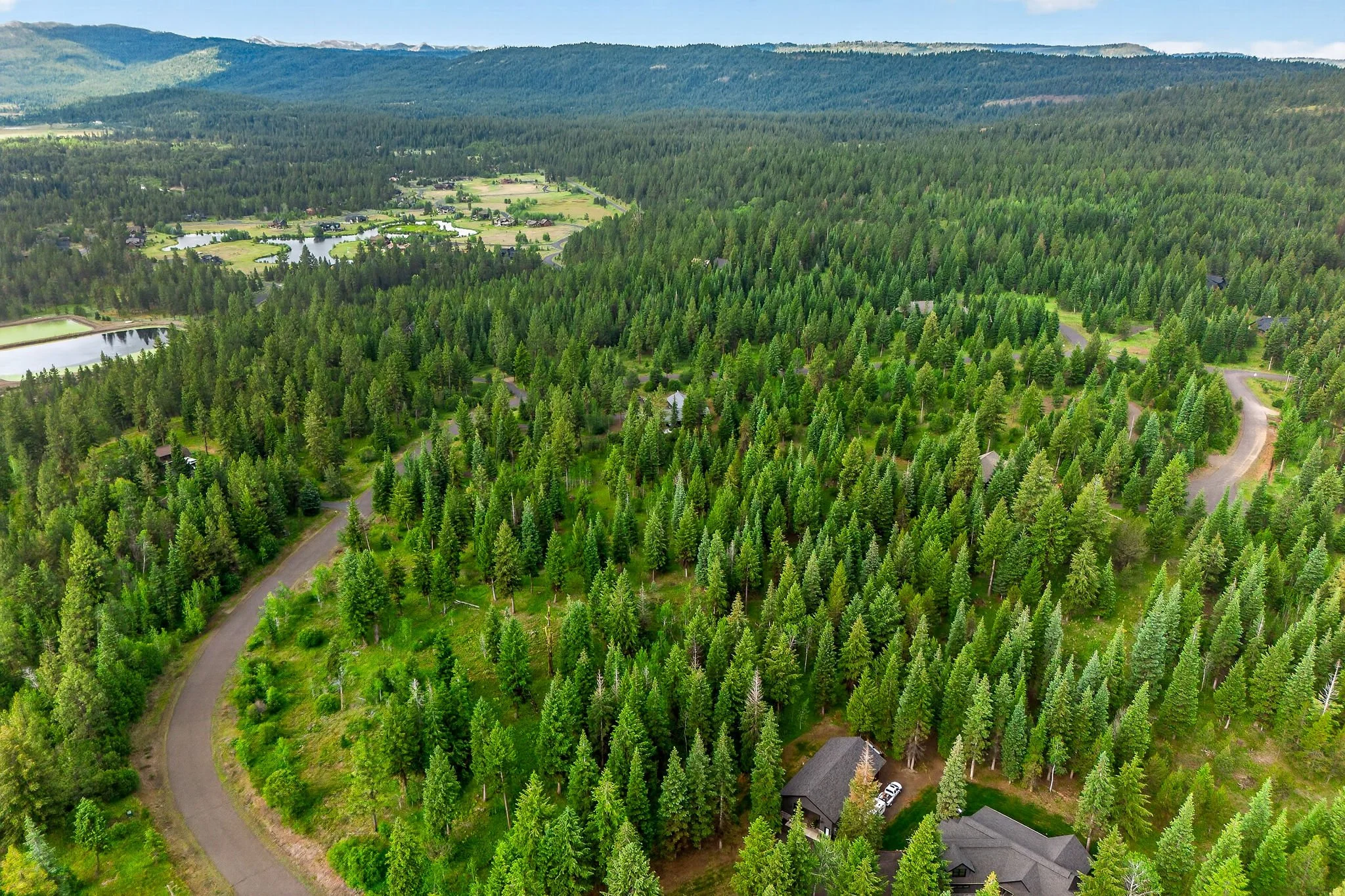 An aerial view of a lush green forest with a winding road, houses, a lake, and mountains in the background.
