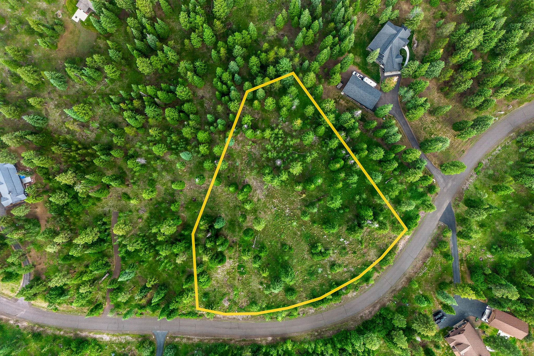 Aerial view of a wooded lot with a yellow outline, surrounded by houses and roads, with dense green trees.