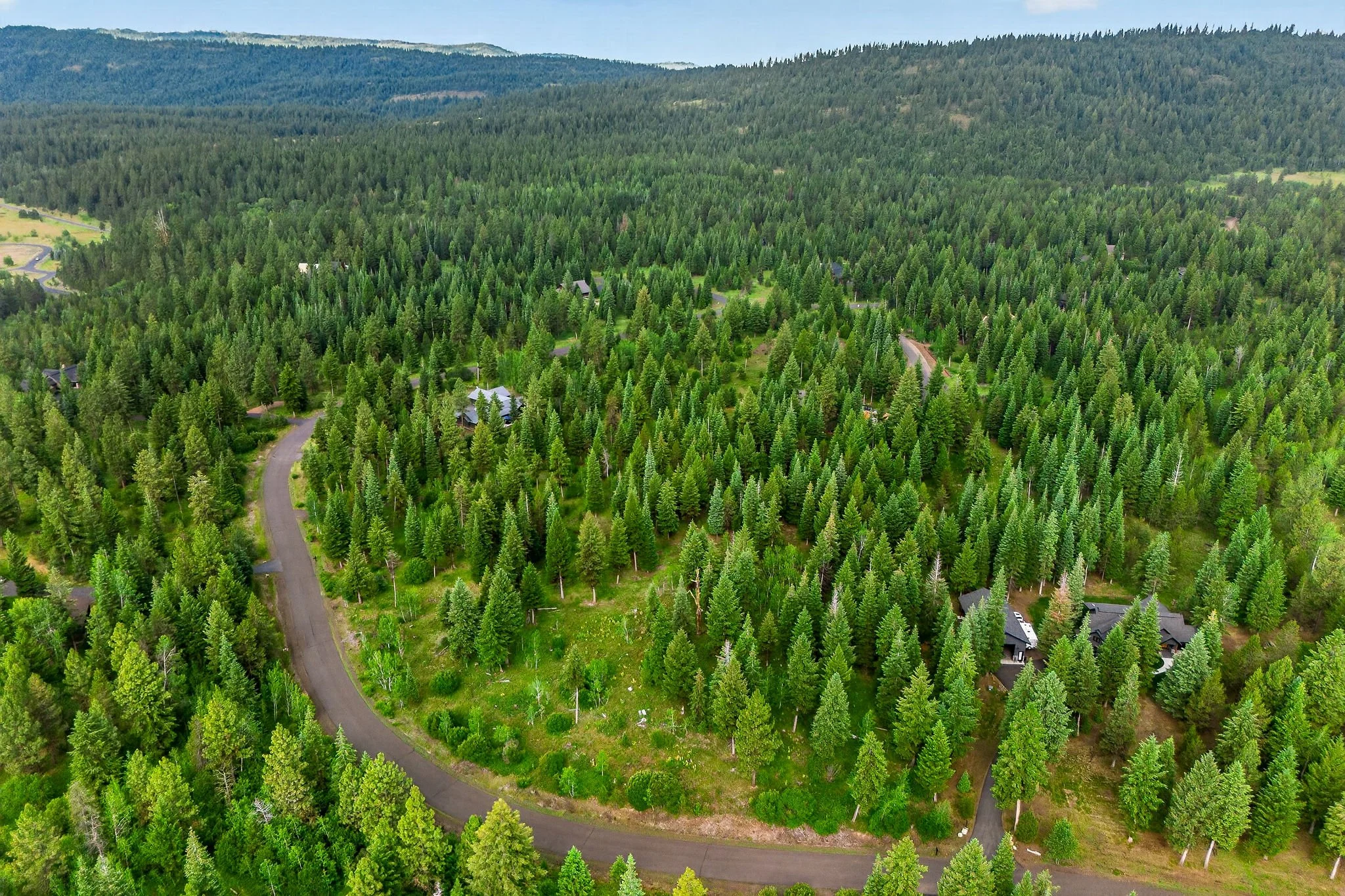 Aerial view of a dense forest with a winding road and scattered houses.