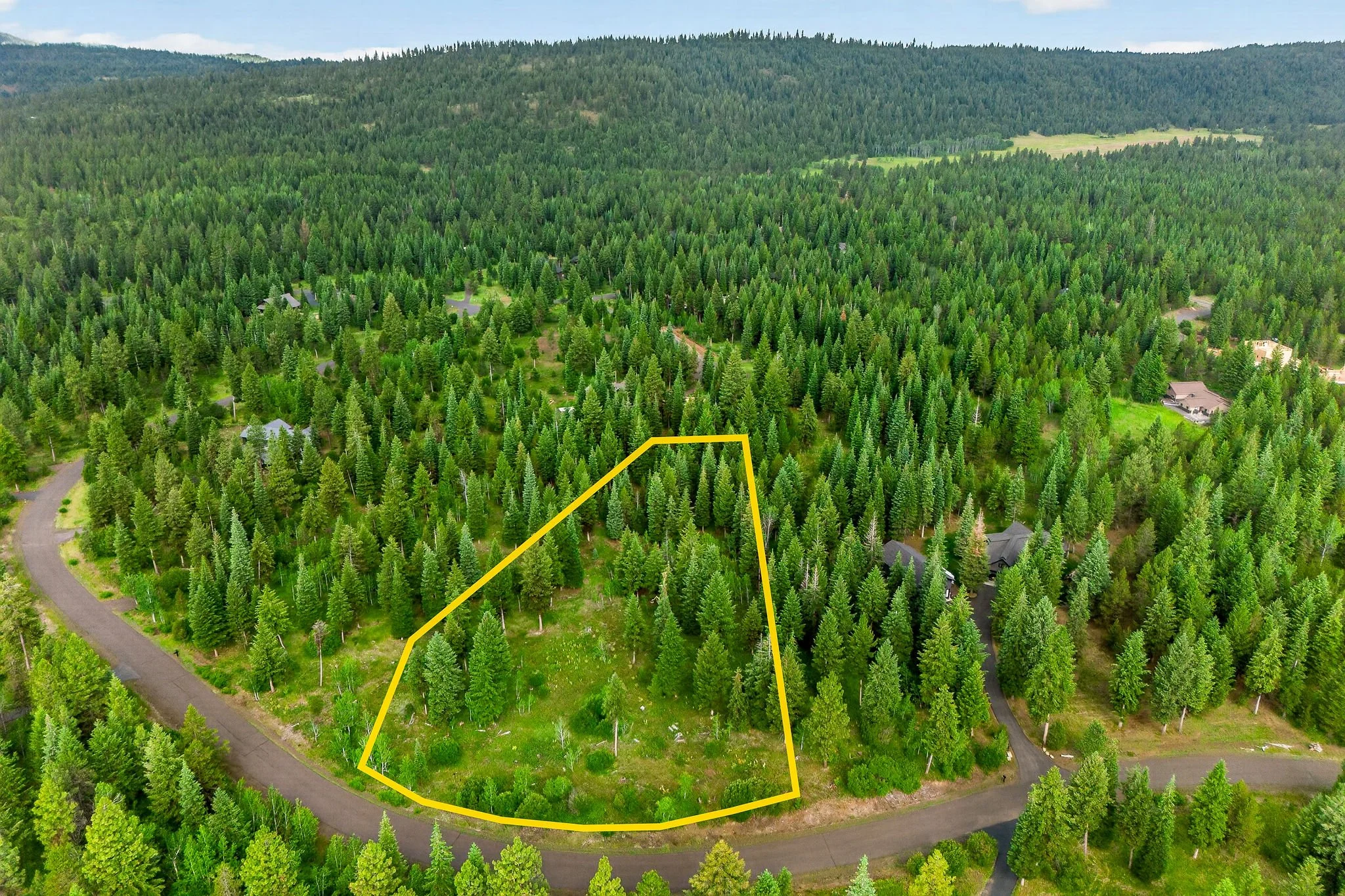 Aerial view of a densely forested hillside with a few houses and a yellow outline marking a specific plot of land.