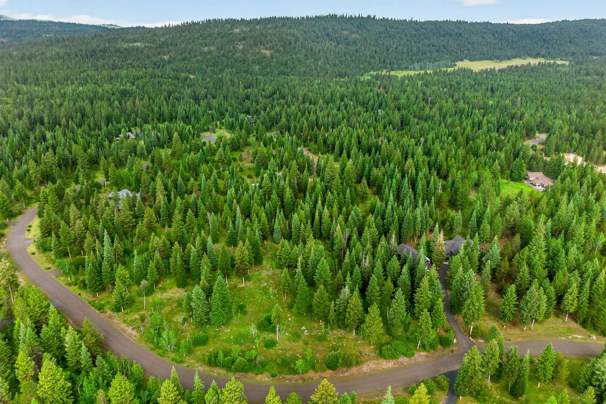 An aerial view of a lush green forest surrounding winding roads and scattered houses, with mountains in the background and a partly cloudy sky.