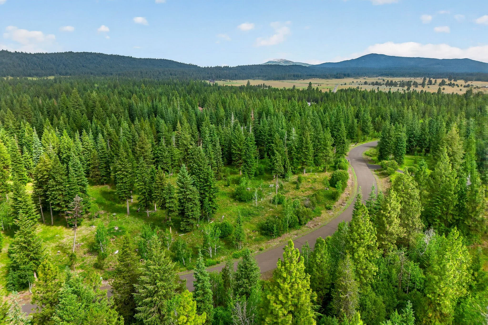 A scenic view of a dense forest with tall green trees, a winding road, and mountains in the distance under a partly cloudy sky.