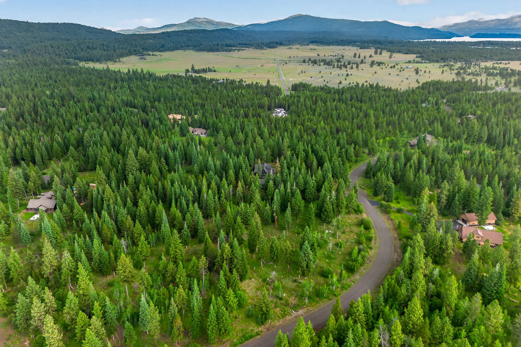 Aerial view of a green forested landscape with scattered houses, a winding road, open fields, and distant mountains under a blue sky.