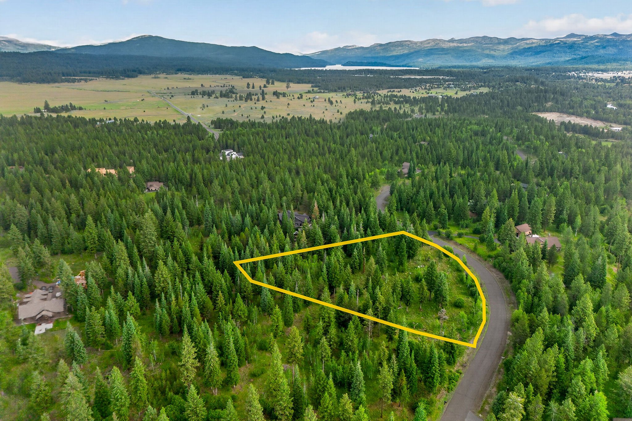 Aerial view of a lush green forest with a yellow outline around a section, residential houses on the edge of the forest, a winding road, expansive fields, and distant mountains under a partly cloudy sky.
