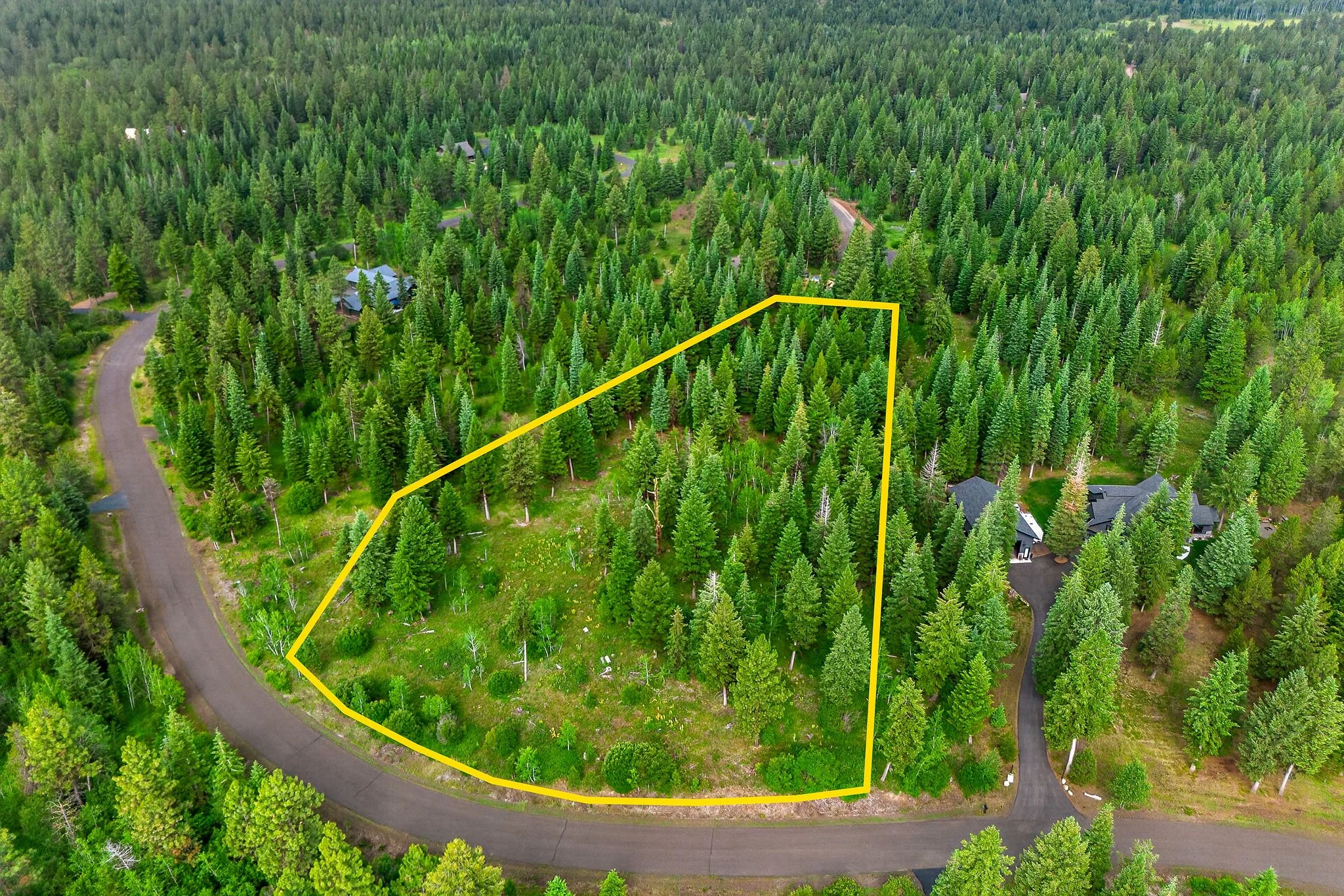 Aerial view of a densely wooded forest area with a yellow boundary outline around an open space, near a winding road and a few houses with grey roofs.