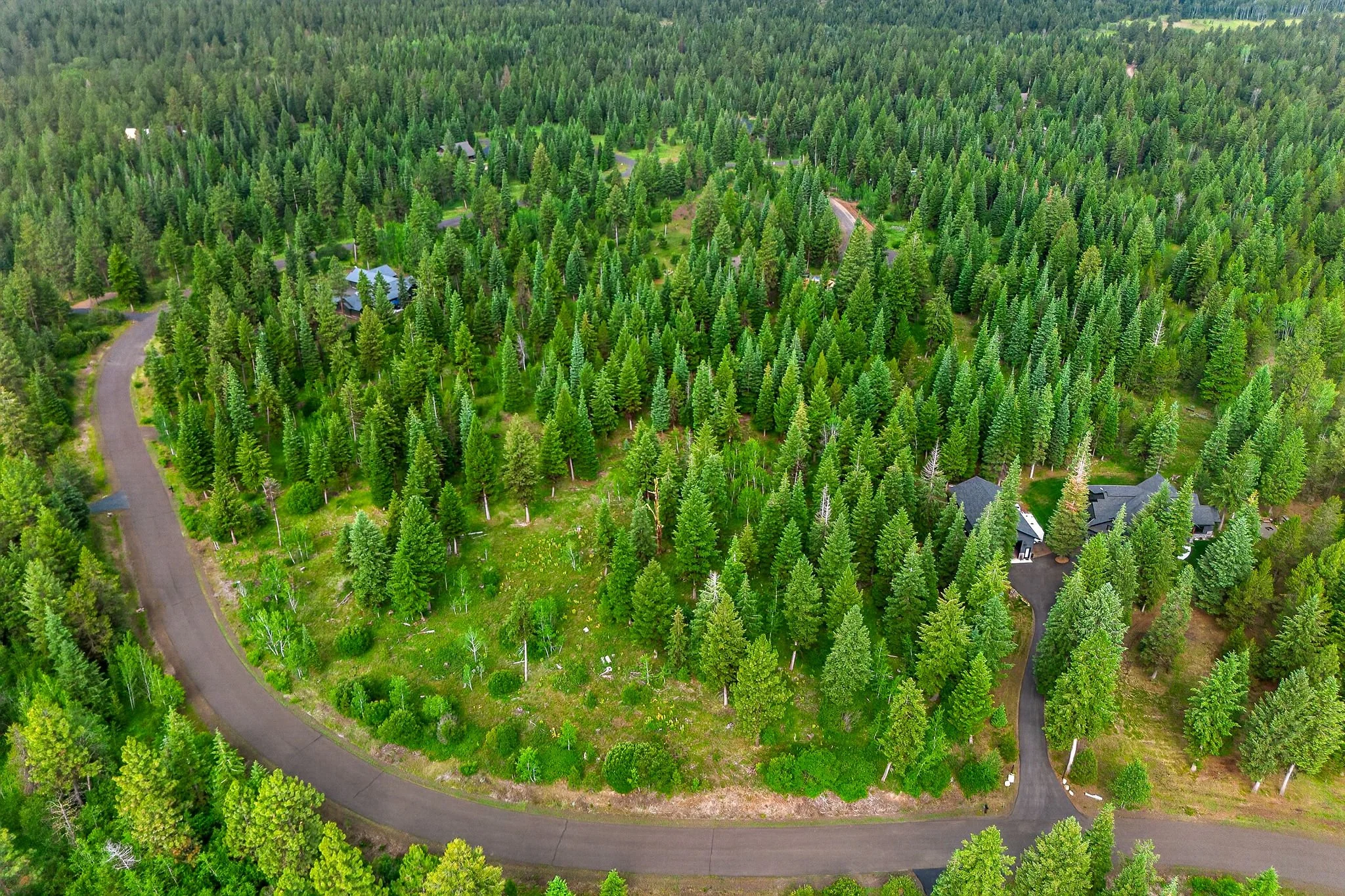 An aerial view of a densely forested area with houses and winding roads surrounded by tall green trees.